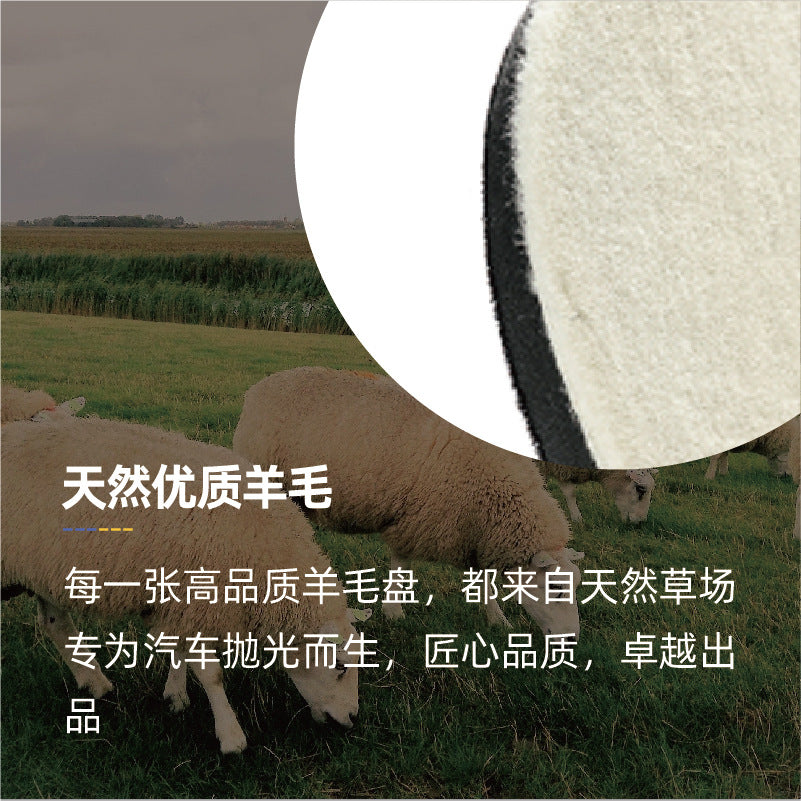 厂家直供 斯锐博7寸日式细抛羊毛盘抛光打蜡盘自粘纯羊毛球抛光轮